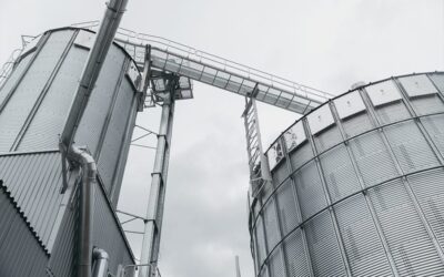 Neues Pelletwerk und neue Jobs in Produktion und Vertrieb